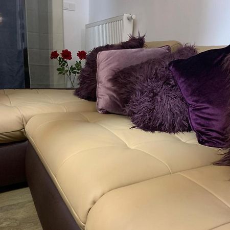 Apartament Ive'S Golden Gardenia Seaside Dziwnów Zewnętrze zdjęcie
